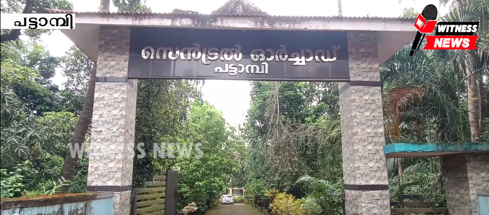 പട്ടാമ്പി സെൻട്രൽ ഓർച്ചാഡ് നവീകരിക്കുന്നു. നവീകരണ പ്രവൃത്തികളുടെ ഉദ്ഘാടനം ഈ മാസം 24ന് കൃഷി മന്ത്രി പ്രസാദ് നിർവ്വഹിക്കും.